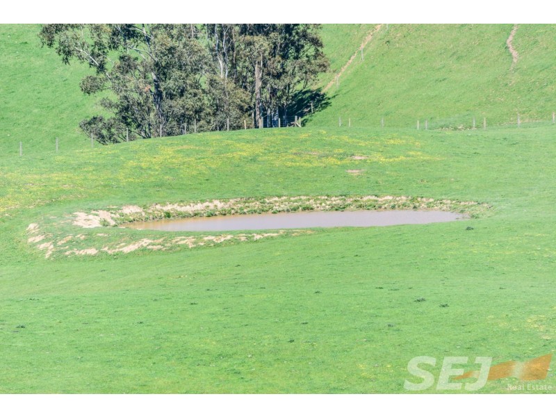 222 Ross and Witherdens Rd, Strzelecki VIC 3950