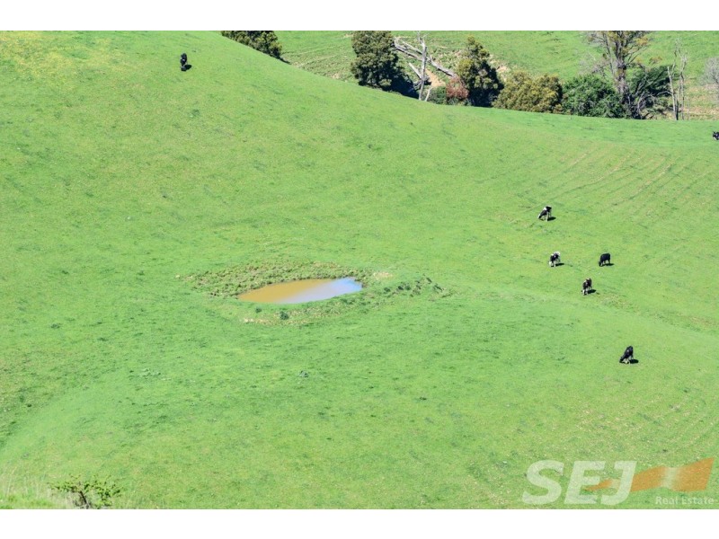 222 Ross and Witherdens Rd, Strzelecki VIC 3950
