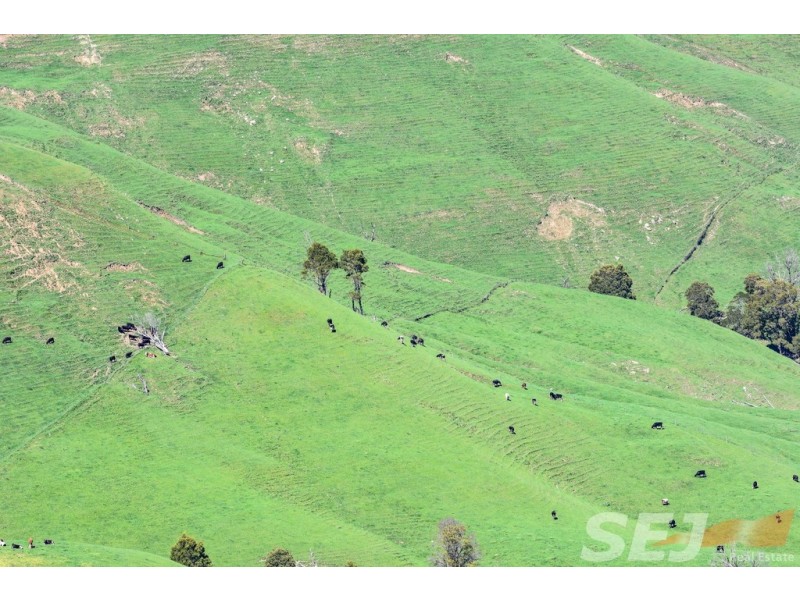 222 Ross and Witherdens Rd, Strzelecki VIC 3950