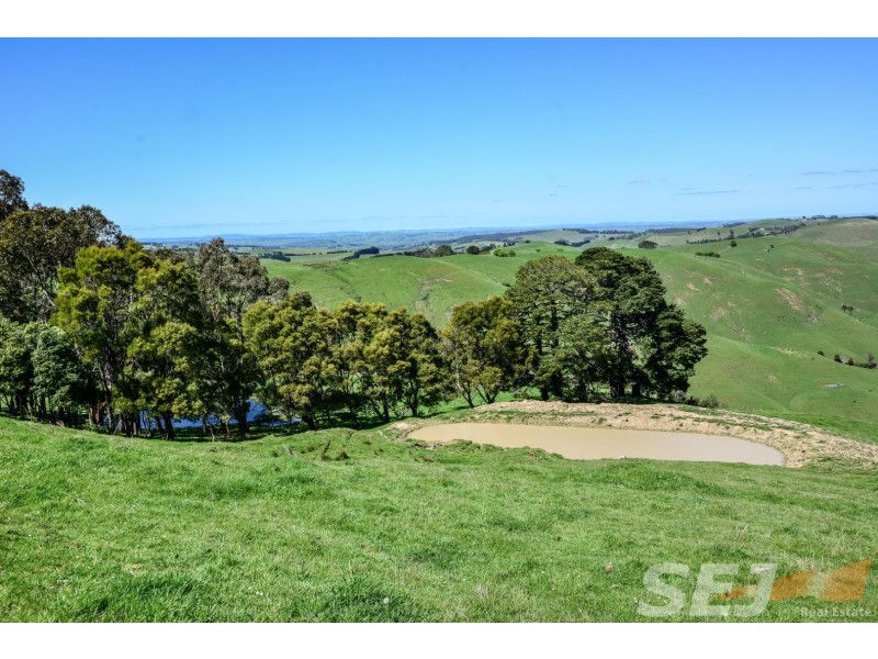 222 Ross and Witherdens Rd, Strzelecki VIC 3950