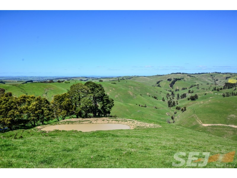 222 Ross and Witherdens Rd, Strzelecki VIC 3950