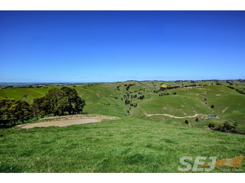 222 Ross and Witherdens Rd, Strzelecki VIC 3950