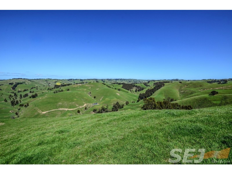 222 Ross and Witherdens Rd, Strzelecki VIC 3950