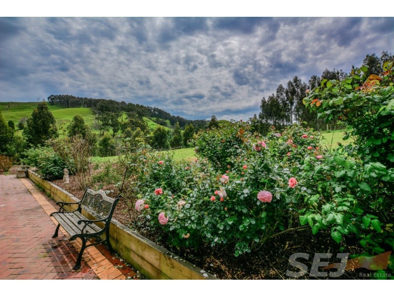 137 O’Tooles Rd, Wild Dog Valley VIC 3953