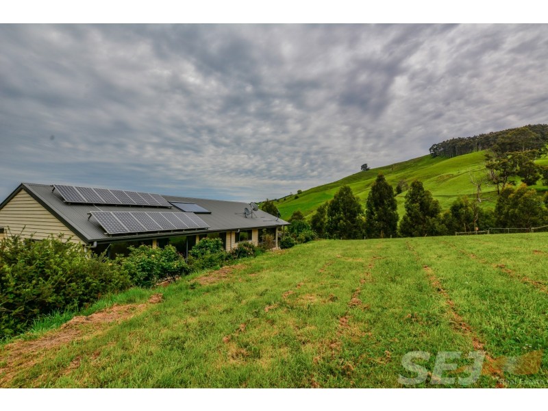 137 O’Tooles Rd, Wild Dog Valley VIC 3953