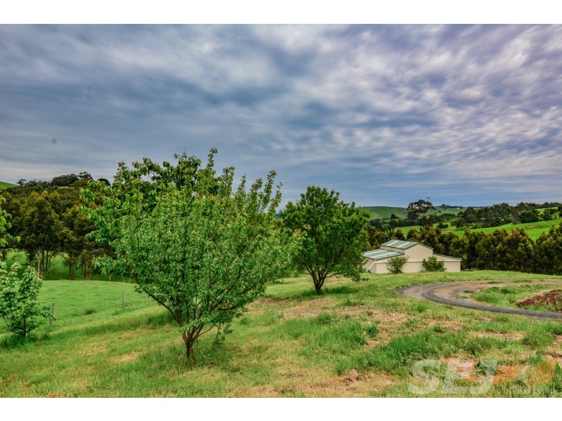 137 O’Tooles Rd, Wild Dog Valley VIC 3953