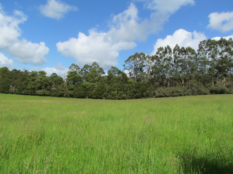 4/144 Currie Road, Drouin VIC 3818