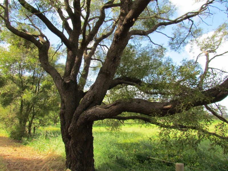 4/144 Currie Road, Drouin VIC 3818