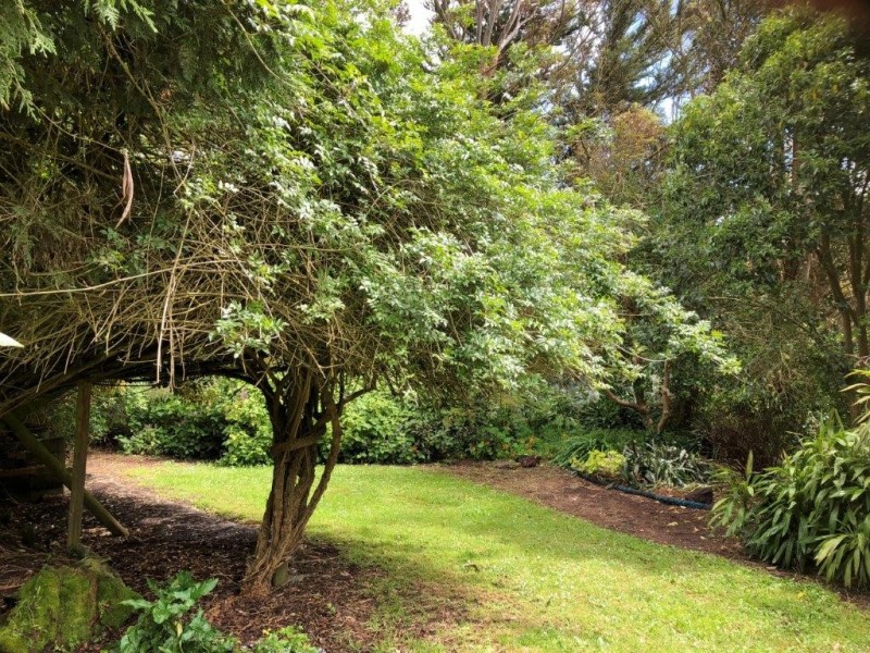 195 Stewarts Rd, Fish Creek VIC 3959