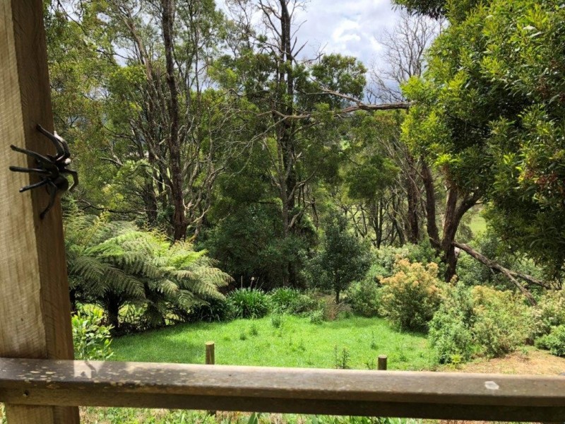 445 Wonga Square Top Rd, Foster VIC 3960