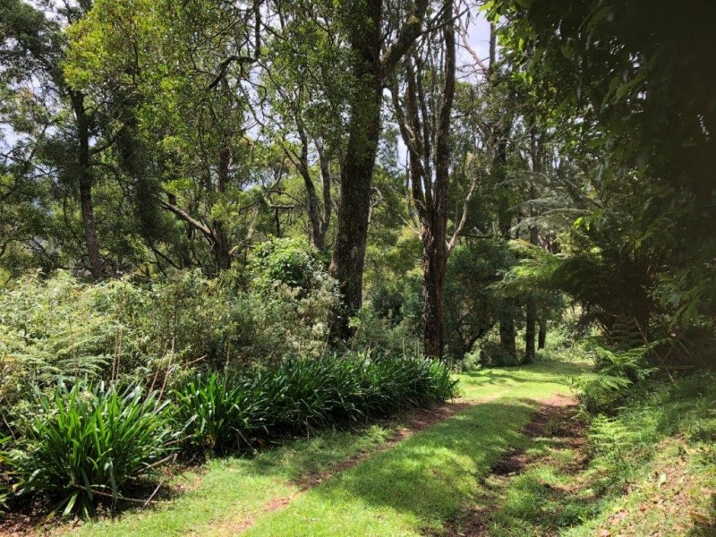 445 Wonga Square Top Rd, Foster VIC 3960