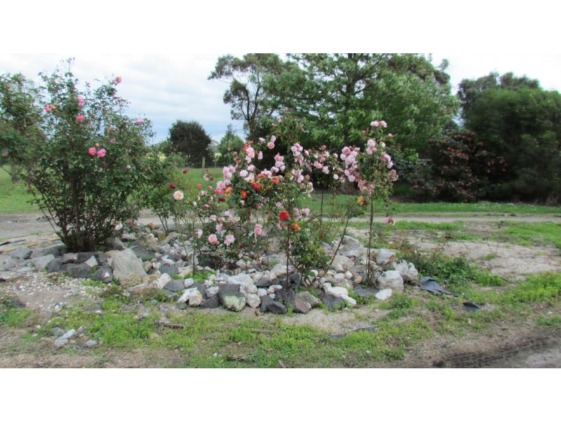 21 Shearmans Road, Darnum VIC 3822