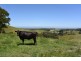 310 Ameys Track, Foster VIC 3960