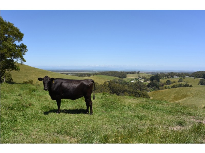 310 Ameys Track, Foster VIC 3960