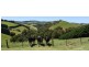 310 Ameys Track, Foster VIC 3960