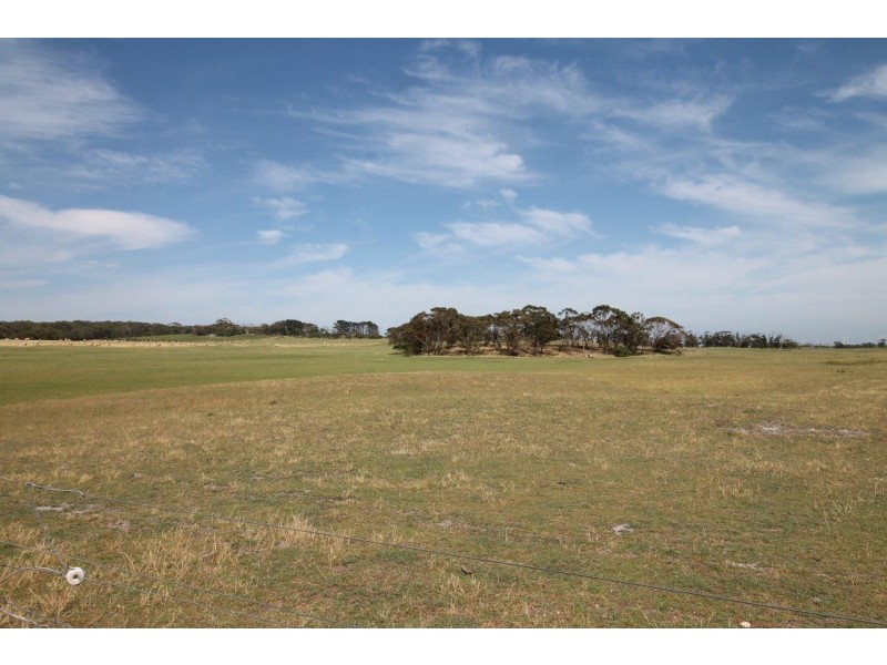 77 Grevillia St, Walkerville VIC 3956