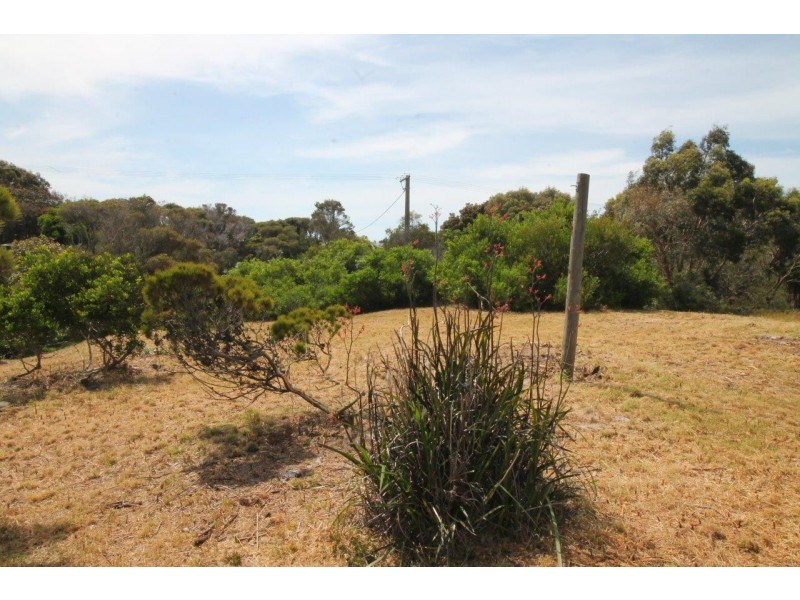 77 Grevillia St, Walkerville VIC 3956