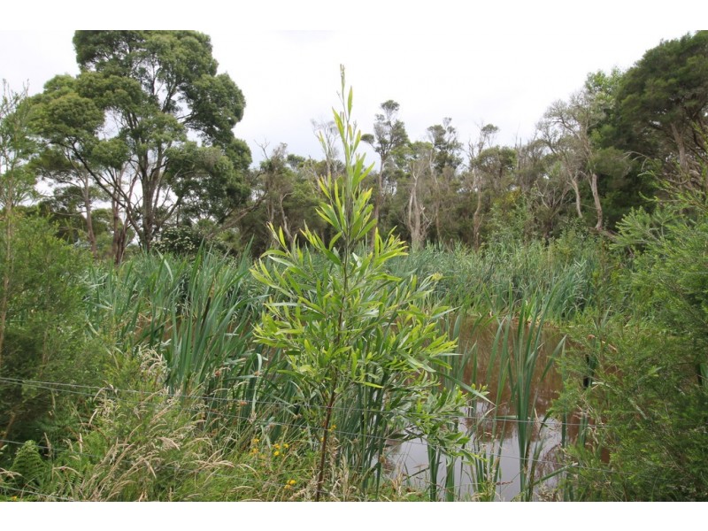 2200 Meeniyan-Prom Rd, Fish Creek VIC 3959