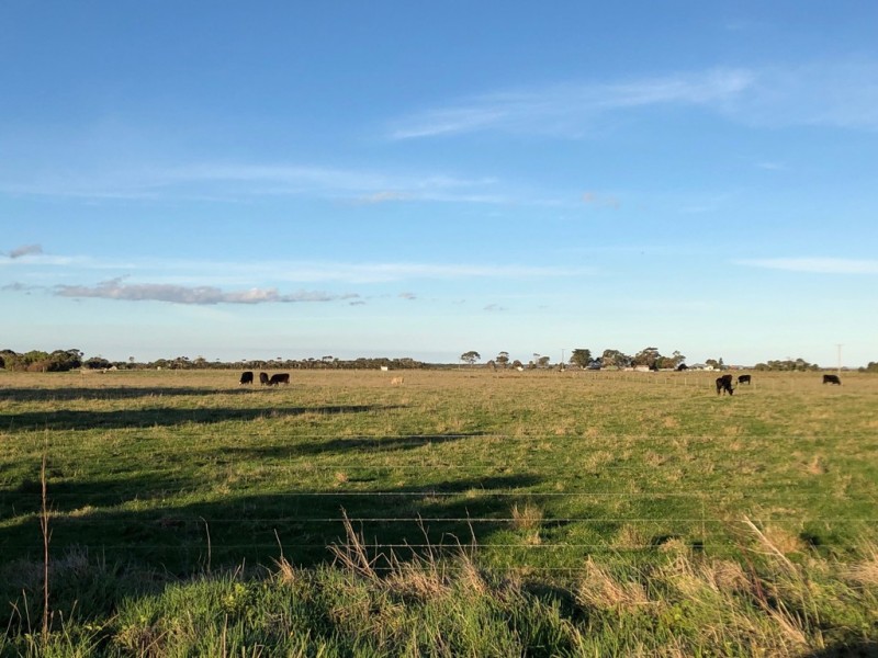 355 Grip Road, Toora VIC 3962