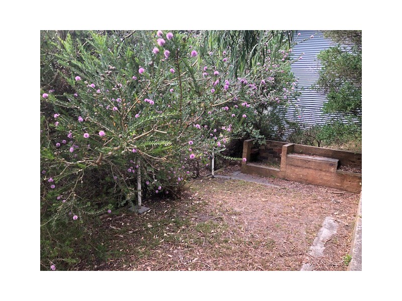 13 Park Ave, Sandy Point VIC 3959