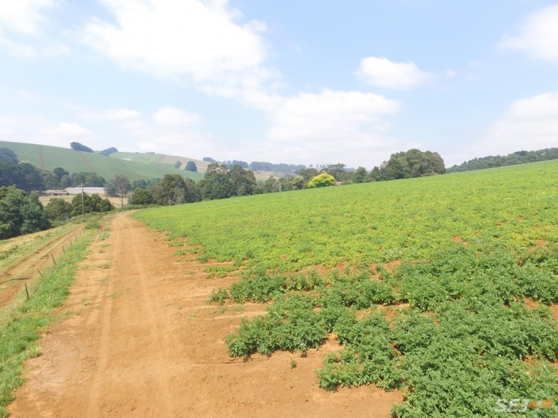 1235 Sunny Creek Road, Thorpdale VIC 3835