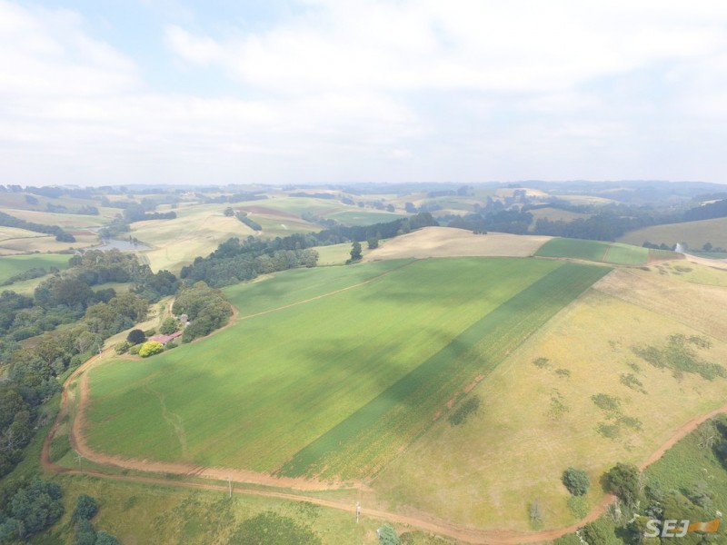 1235 Sunny Creek Road, Thorpdale VIC 3835