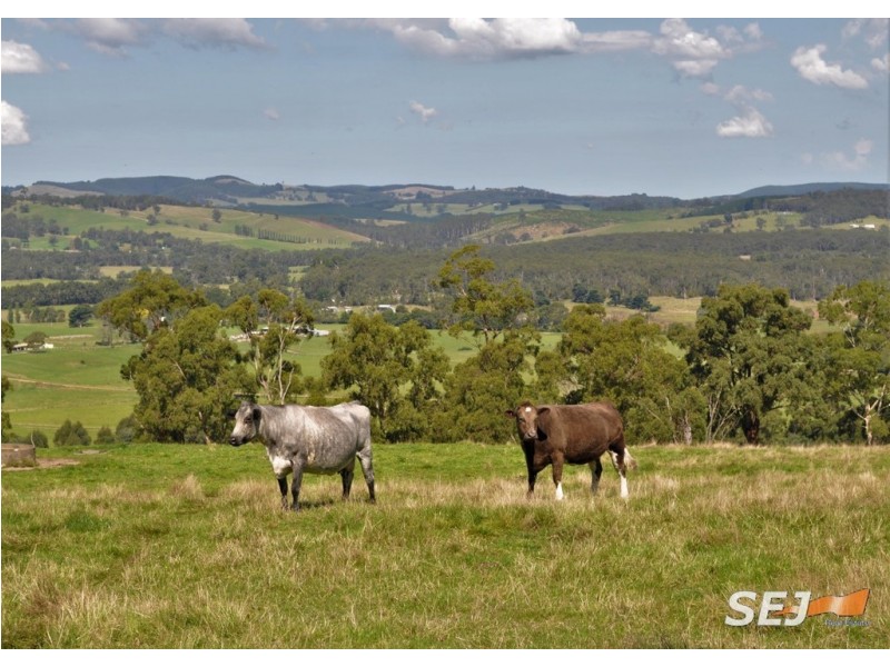 255 Vaggs Rd, Yinnar VIC 3869