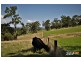 255 Vaggs Rd, Yinnar VIC 3869