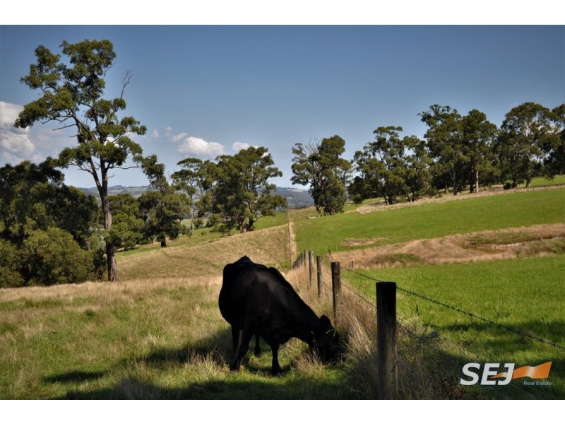 255 Vaggs Rd, Yinnar VIC 3869