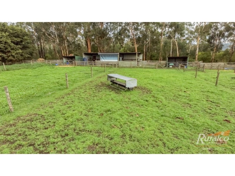 255 Vaggs Rd, Yinnar VIC 3869