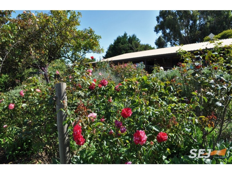 255 Vaggs Rd, Yinnar VIC 3869