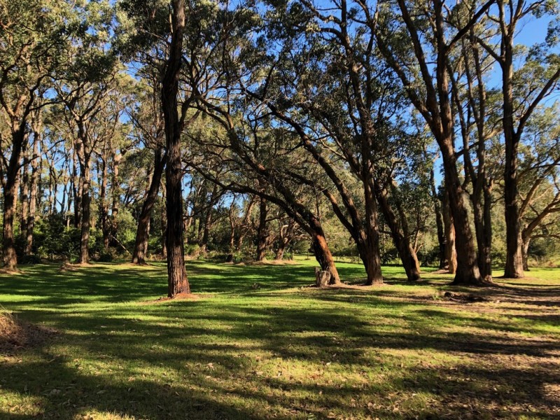 13 Yellow Brick Road, Foster VIC 3960