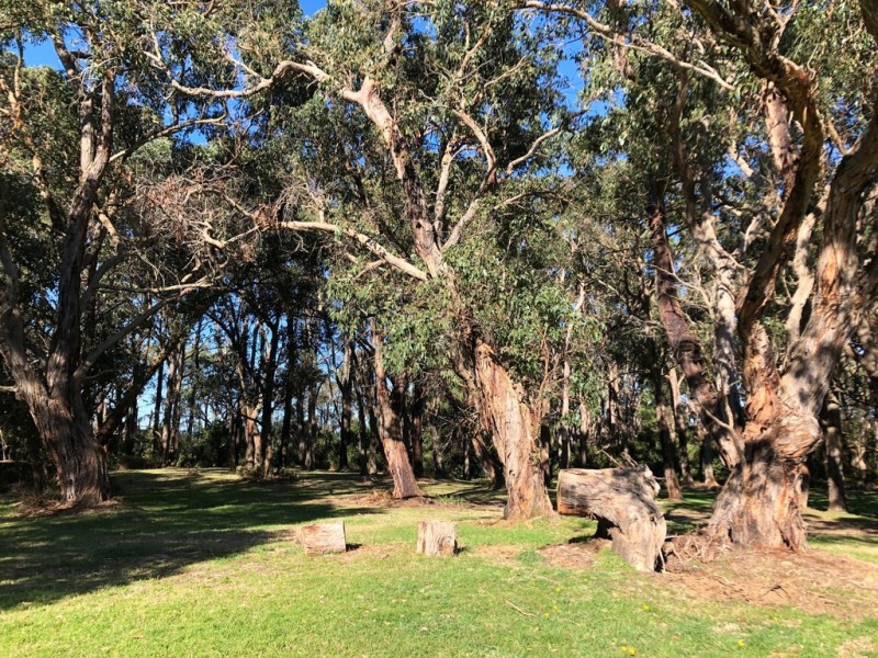 13 Yellow Brick Road, Foster VIC 3960