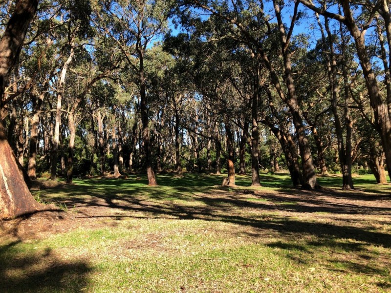 13 Yellow Brick Road, Foster VIC 3960