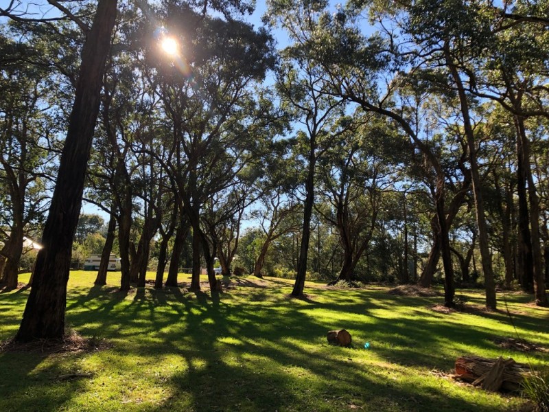 13 Yellow Brick Road, Foster VIC 3960