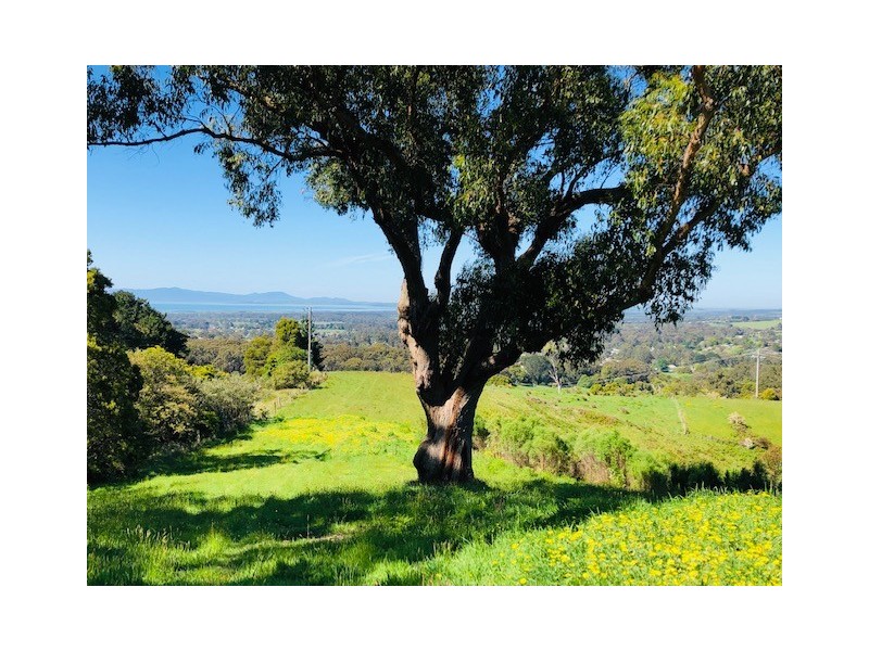 2/3640 South Gippsland Hwy, Foster VIC 3960