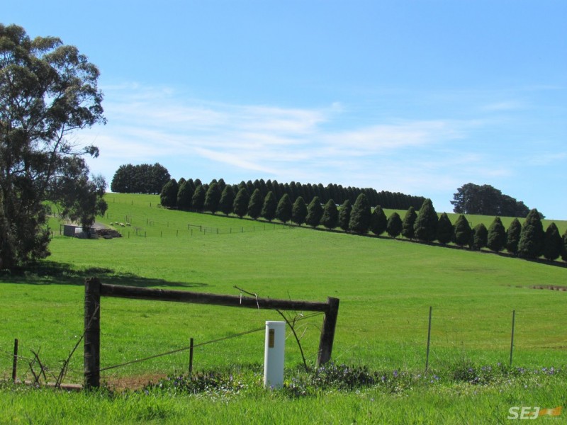 1 Corner Rhodes Road and Silbys Road, Darnum VIC 3822