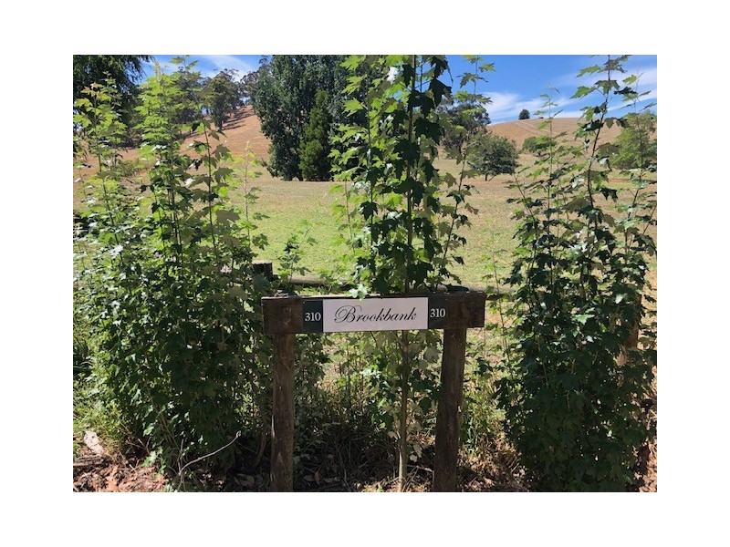 310 Sheffield Road, Neerim South VIC 3831