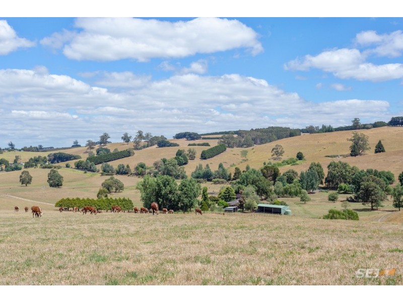 310 Sheffield Road, Neerim South VIC 3831