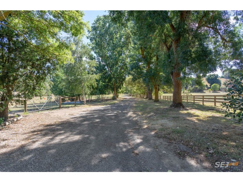 310 Sheffield Road, Neerim South VIC 3831