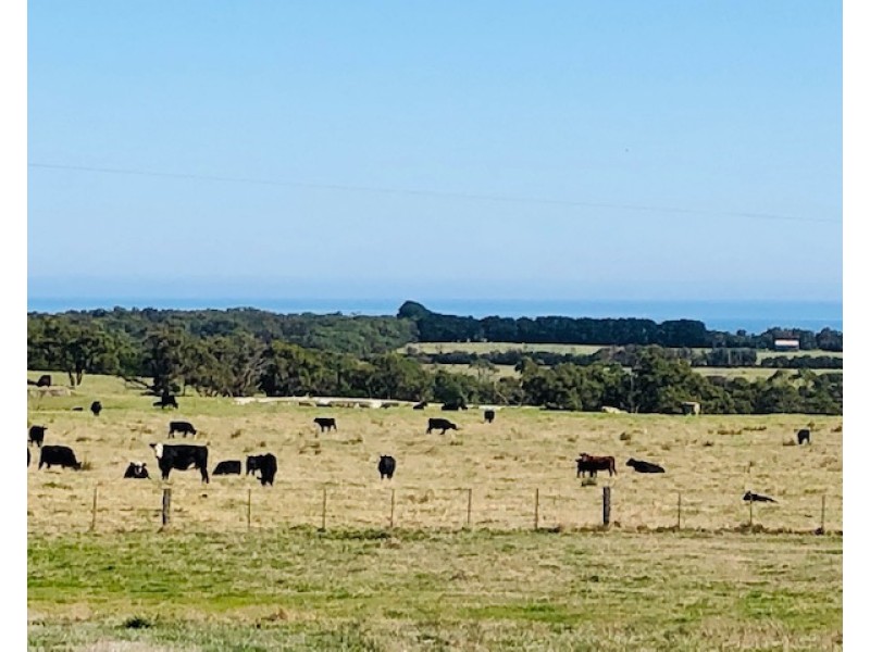 2000 Walkerville Rd, Walkerville VIC 3956