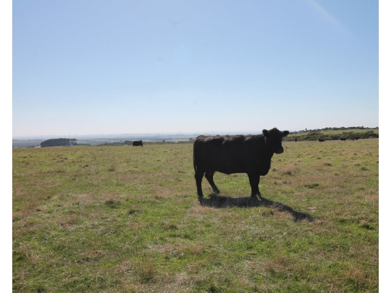 2000 Walkerville Rd, Walkerville VIC 3956