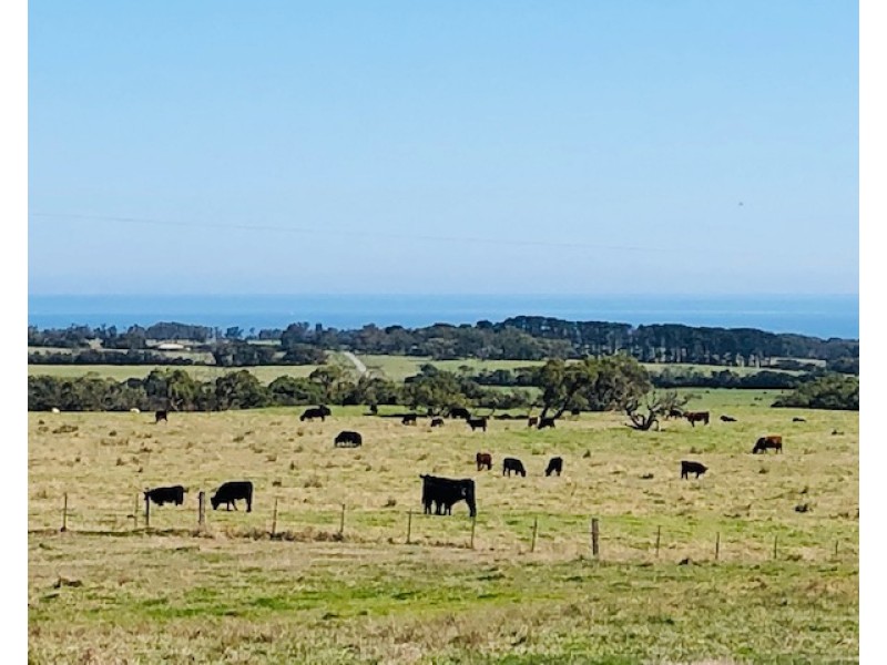 2000 Walkerville Rd, Walkerville VIC 3956