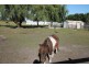 75 Elphicks Rd, Foster VIC 3960