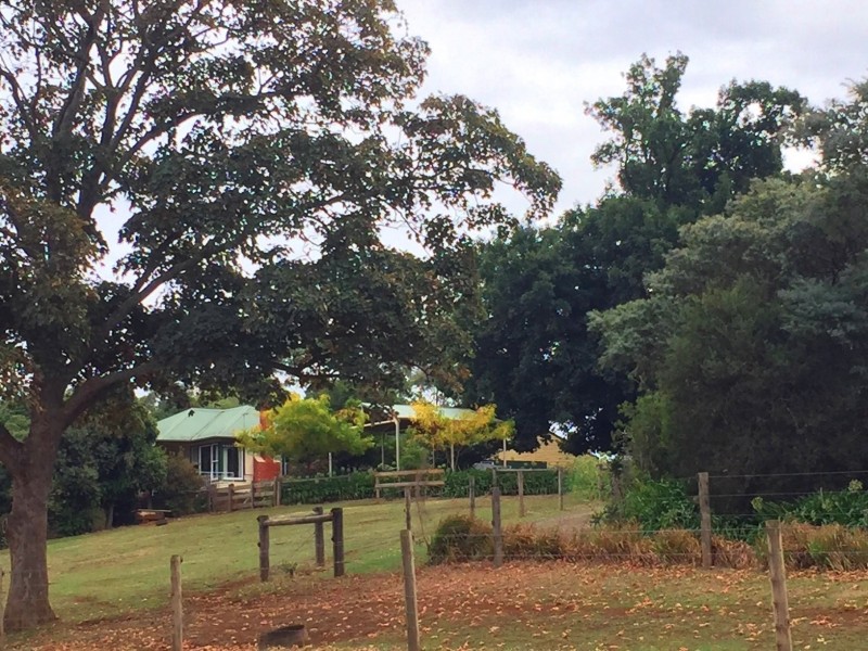 184 Saviges Road, Thorpdale VIC 3835
