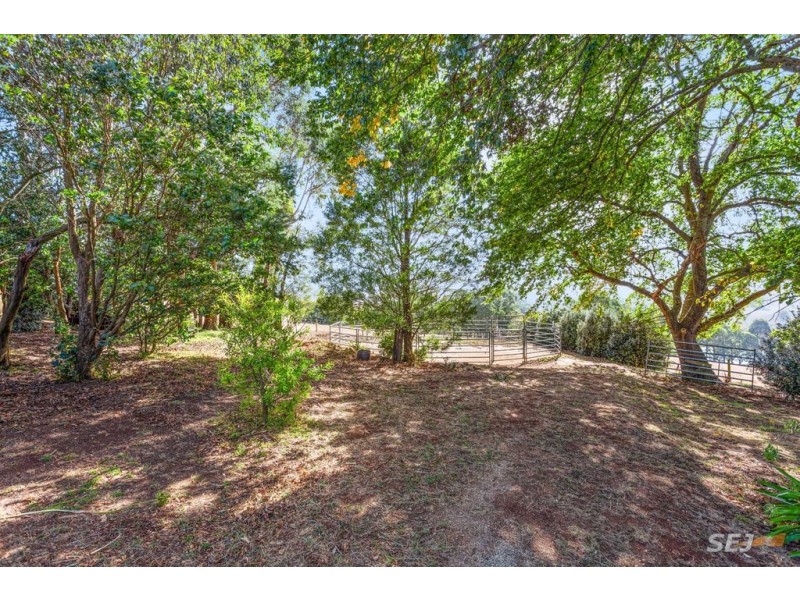 184 Saviges Road, Thorpdale VIC 3835