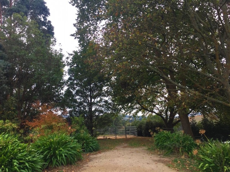 184 Saviges Road, Thorpdale VIC 3835