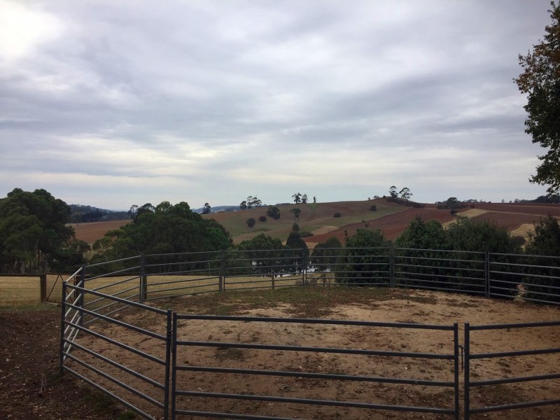 184 Saviges Road, Thorpdale VIC 3835
