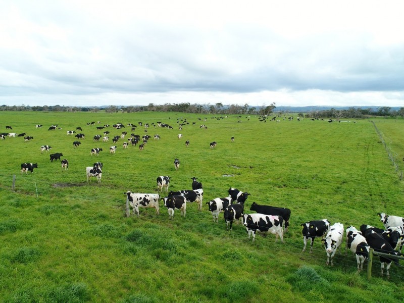 64A Honeys Road, Wonthaggi VIC 3995