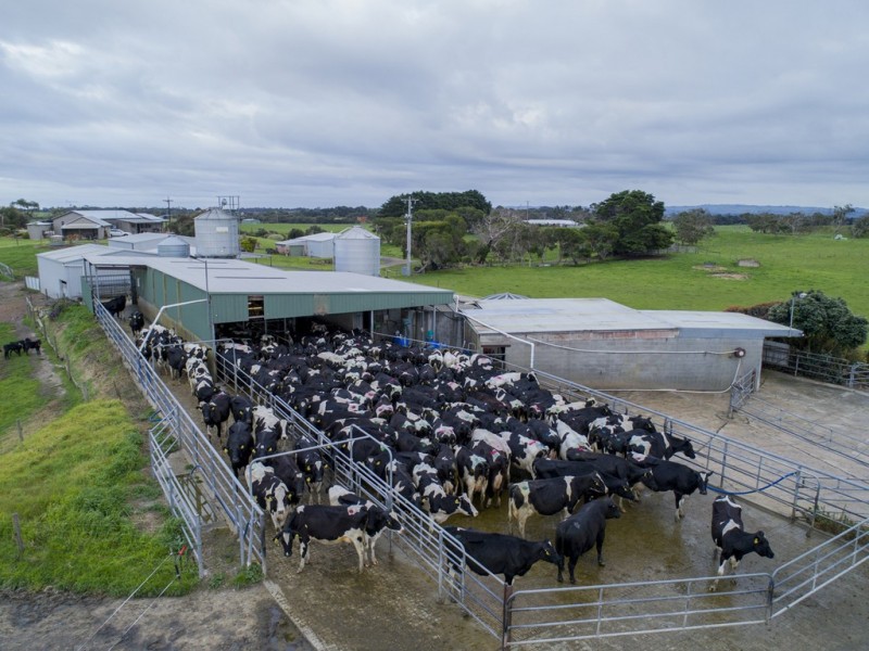 64A Honeys Road, Wonthaggi VIC 3995